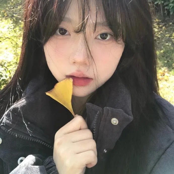 好莱坞结局
